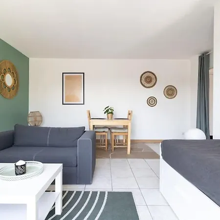 公寓 Beautiful With Terrace + Private Parking 圖盧茲